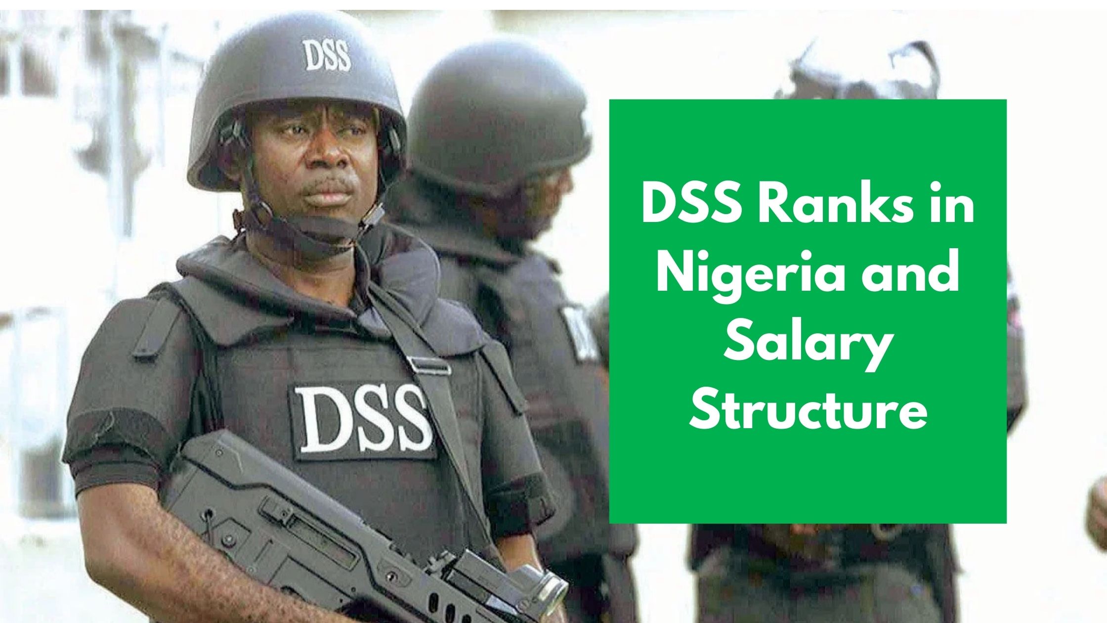 You are currently viewing DSS Ranks in Nigeria and Salary Structure
